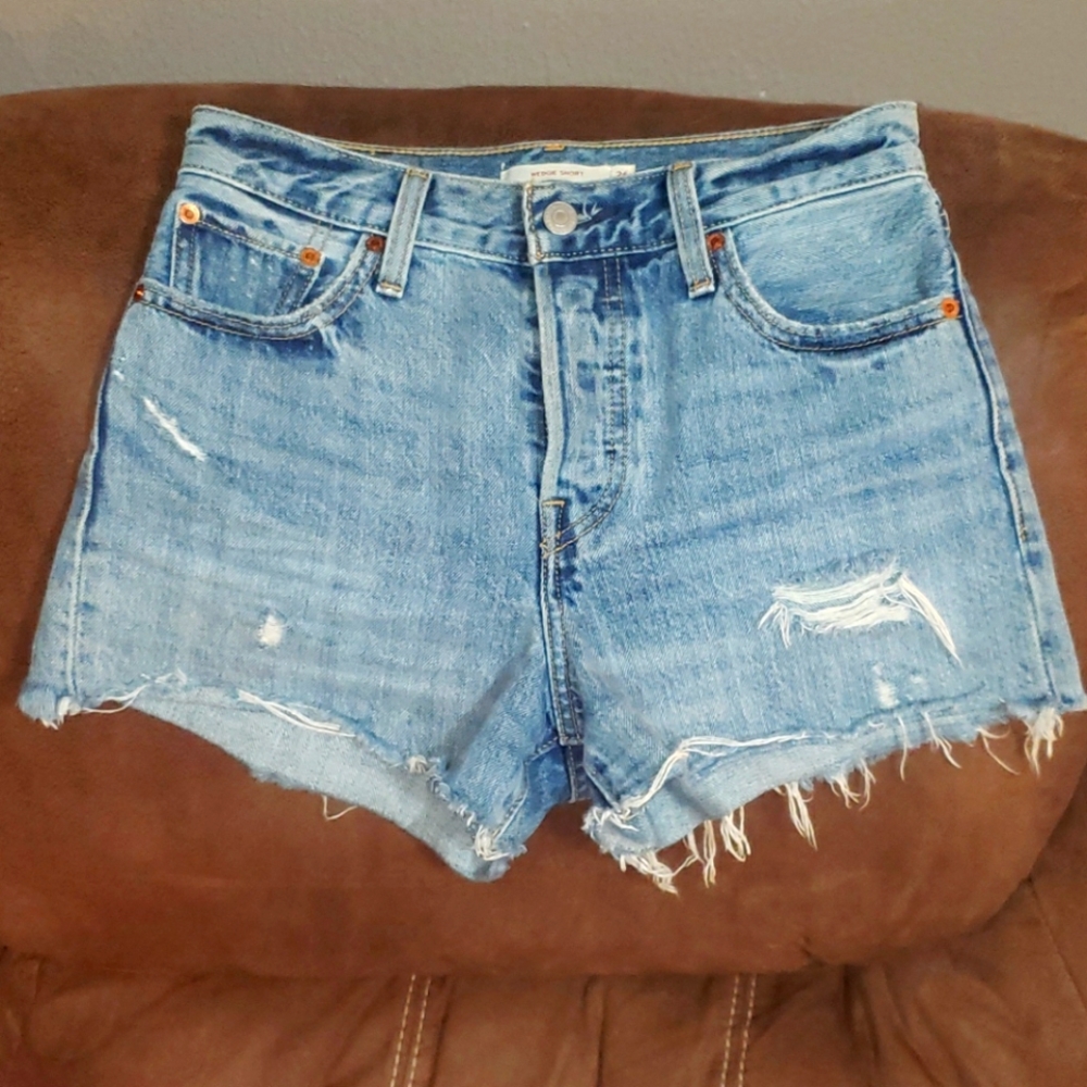 Levi Wedgie Shorts